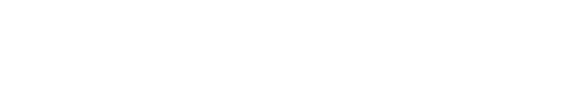 Delaware Investment Services Logo